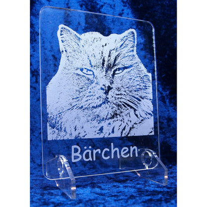 Acrylaufsteller mit Foto- und Textgravur