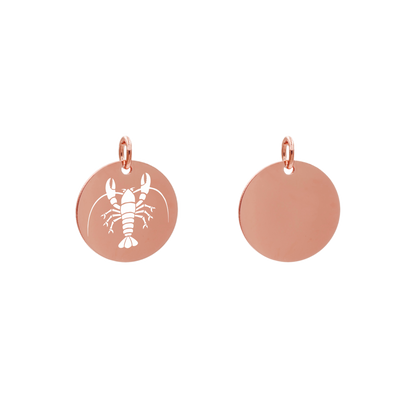 Edelstahlanhänger Rund Roségoldfarbig Anhänger Sternzeichen