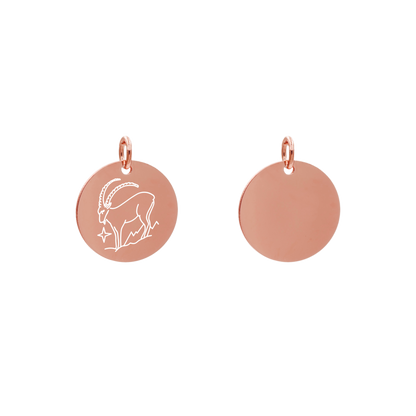 Edelstahlanhänger Rund Roségoldfarbig Anhänger Sternzeichen