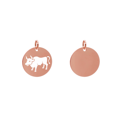 Edelstahlanhänger Rund Roségoldfarbig Anhänger Sternzeichen