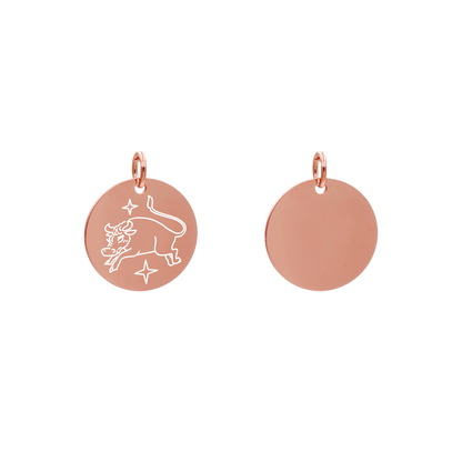 Edelstahlanhänger Rund Roségoldfarbig Anhänger Sternzeichen