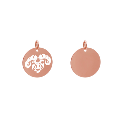 Edelstahlanhänger Rund Roségoldfarbig Anhänger Sternzeichen