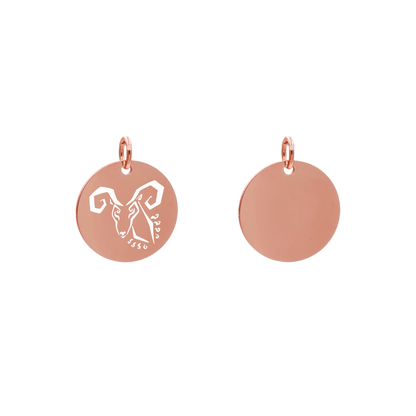 Edelstahlanhänger Rund Roségoldfarbig Anhänger Sternzeichen